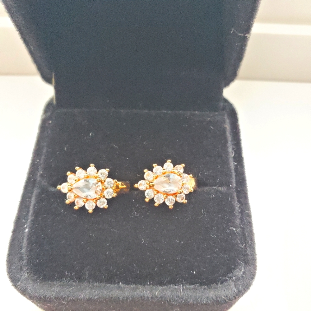 💥💥💥SOLD💥💥💥Beautiful Earrings 10k Gold Plated